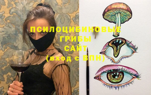 мдпв Карталы