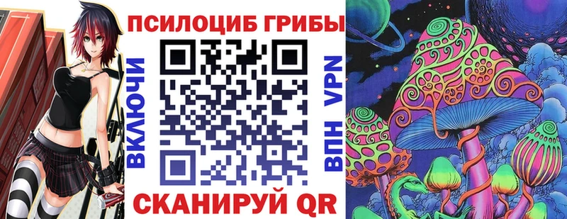 Псилоцибиновые грибы Psilocybe  Алушта 